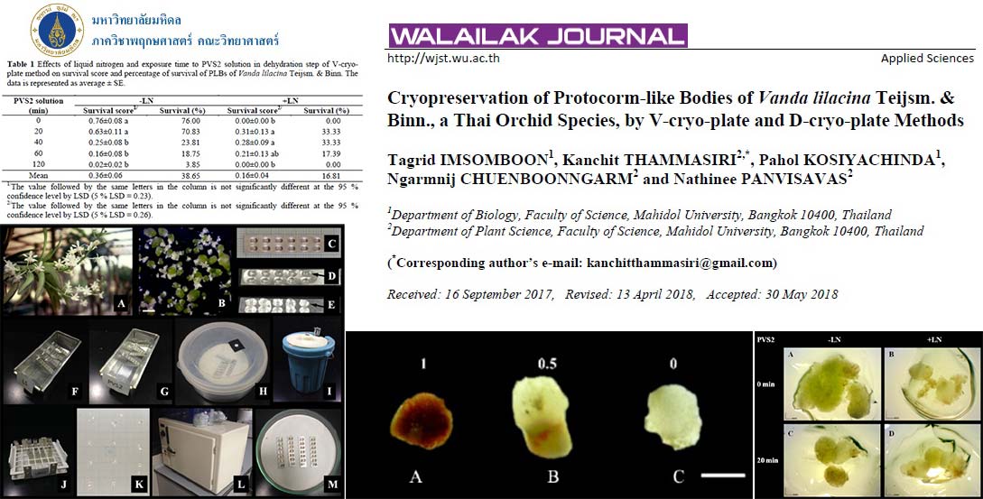 Cryopreservation of Protocorm-like Bodies of Vanda lilacina