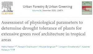 Assessment of physiological parameters to determine drought tolerance of plants for extensive green roof architecture in tropical areas