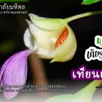 ดร.ปิยเกษตร สุขสถาน และ ผศ.ดร.สาโรจน์ รุจิสรรค์สกุล ตีพิมพ์เป็นพรรณไม้ชนิดใหม่ของโลก ลงในหนังสือ Impatiens of Thailand