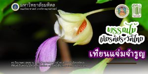 ดร.ปิยเกษตร สุขสถาน และ ผศ.ดร.สาโรจน์ รุจิสรรค์สกุล ตีพิมพ์เป็นพรรณไม้ชนิดใหม่ของโลก ลงในหนังสือ Impatiens of Thailand