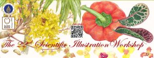 อบรมเชิงปฏิบัติการ การวาดภาพทางวิทยาศาสตร์ ครั้งที่ 22 (The 22nd Scientific Illustration Workshop) 27-29 กรกฎาคม 2566