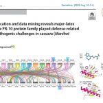 Genome-wide identification and data mining reveals major-latex protein (MLP) from the PR-10 protein family played defense-related roles against phytopathogenic challenges in cassava (<i>Manihot esculenta</i> Crantz)