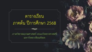 <p style=